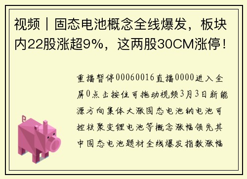 视频｜固态电池概念全线爆发，板块内22股涨超9%，这两股30CM涨停！