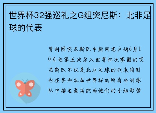 世界杯32强巡礼之G组突尼斯：北非足球的代表