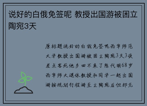 说好的白俄免签呢 教授出国游被困立陶宛3天