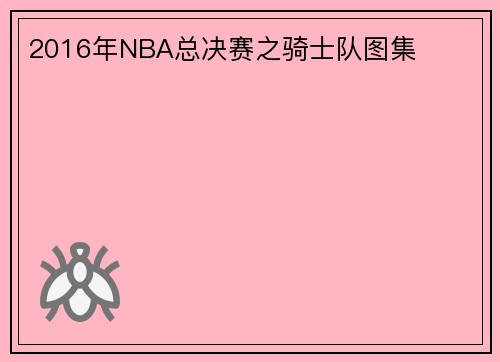2016年NBA总决赛之骑士队图集